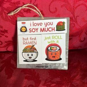 3 piece Magnet Set with Funny Chinese Japenese Food sayings